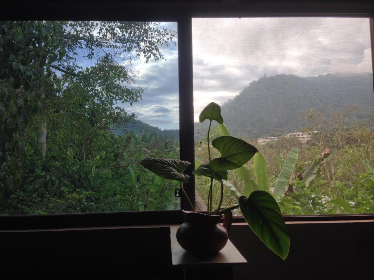 Cinnamon House Mindo Luaran gambar